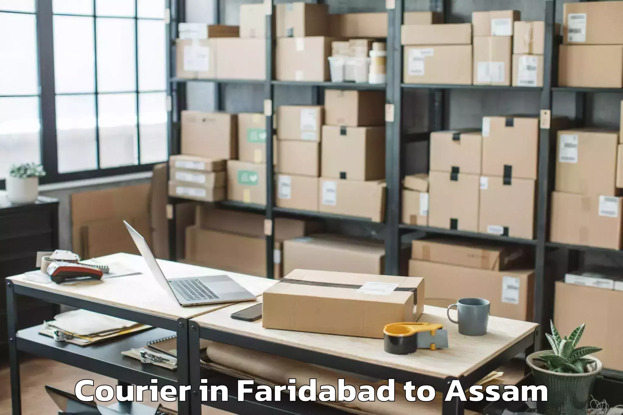 Leading Faridabad to Guwahati University Courier Provider